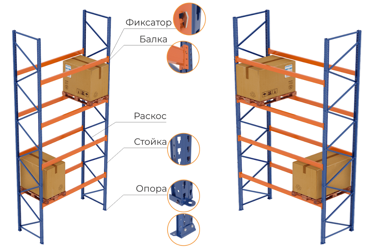 section-main