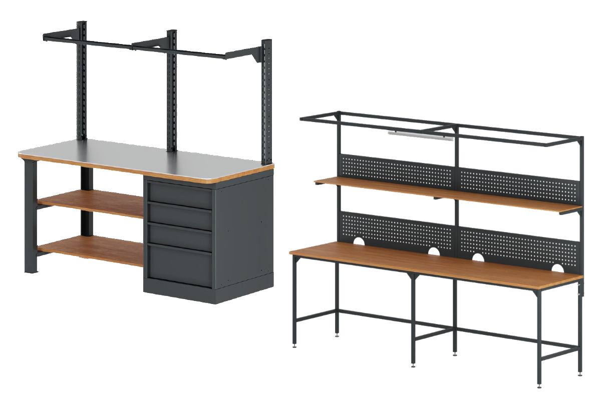 section-main